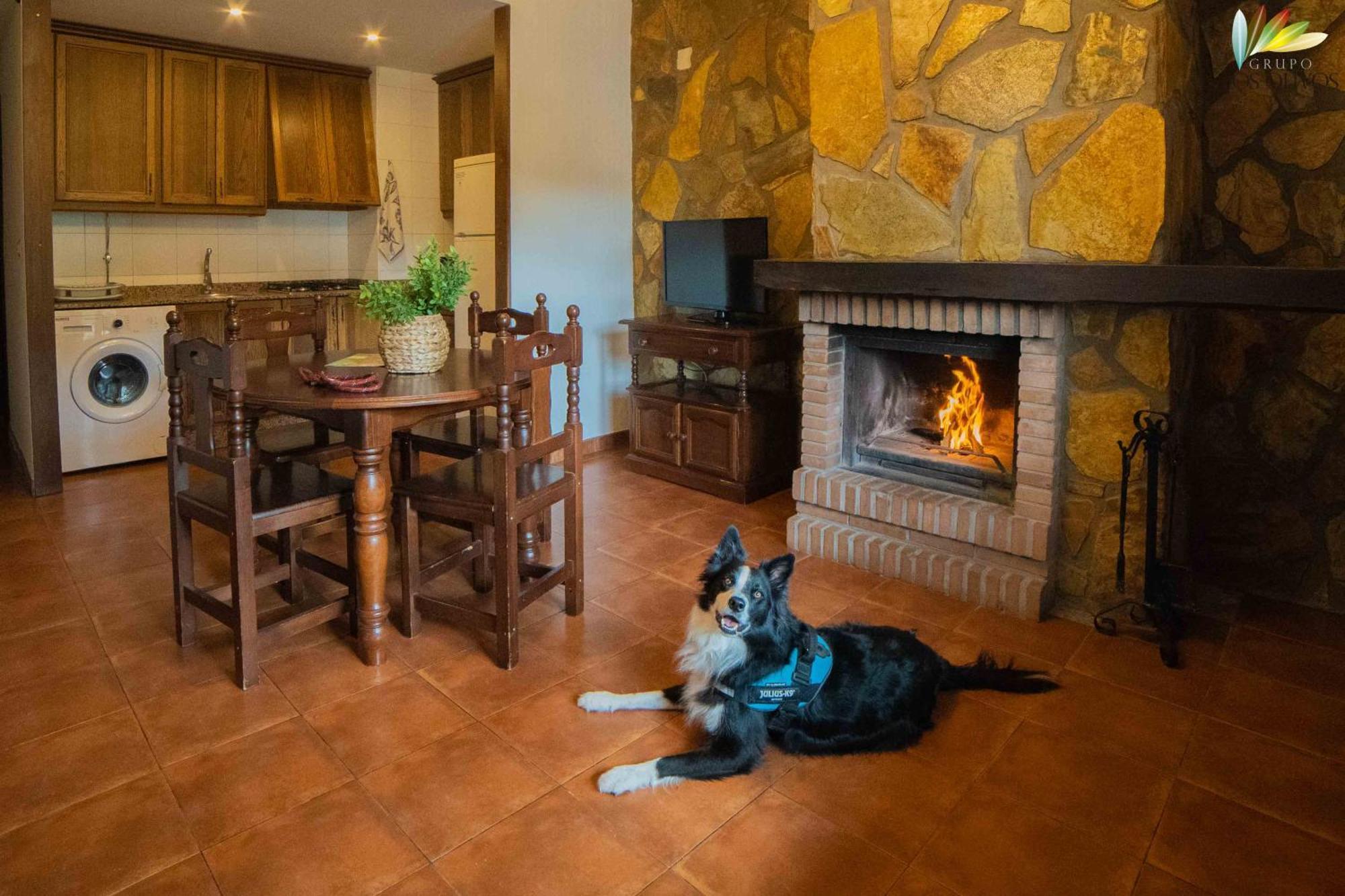 Apartamentos Los Olivos Alcala del Jucar Exteriör bild